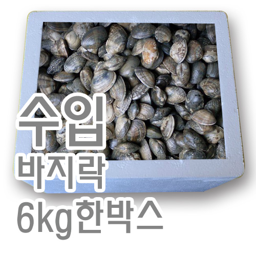 바지락생물(수입)