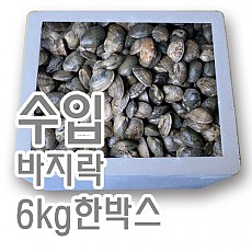 바지락생물(수입)