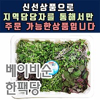 베이비순(어린잎)