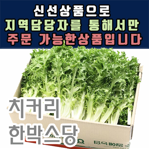 치커리