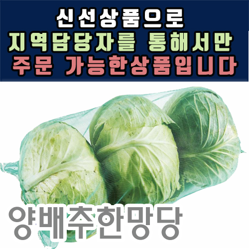 양배추