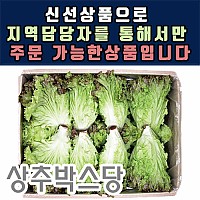 [박스]청상추N