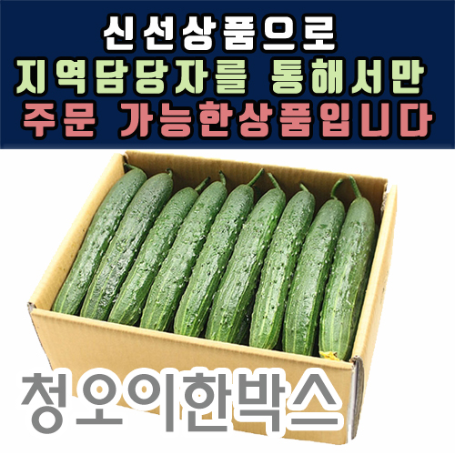 청오이