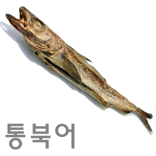 통북어