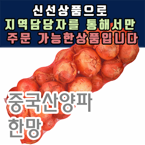 양파(중국산)