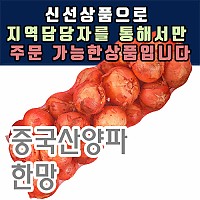 양파(중국산)