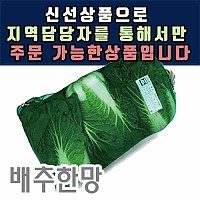 배추