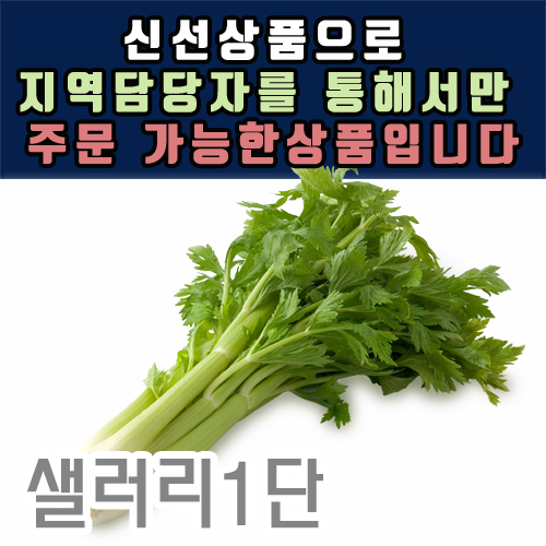 샐러리