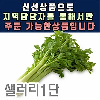 샐러리