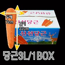당근(3L/수입/중국)