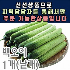 백오이