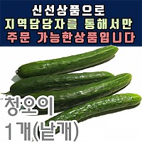 청오이