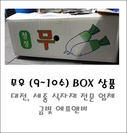 무우(9~10수)